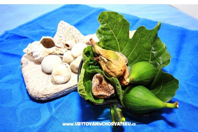 Apartma Dino Murter – foto 2