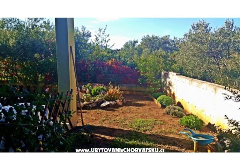 Apartma Kate – foto 9