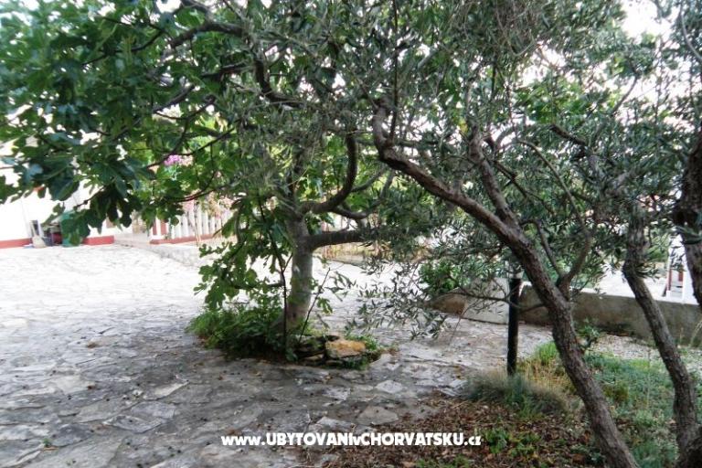 Apartmaji Florijana – foto 6