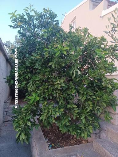 Apartmaji Milka – foto 34