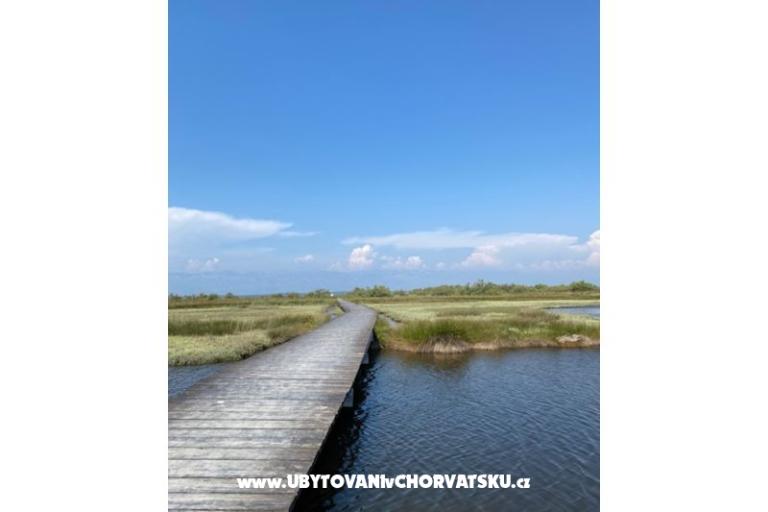 Aenona apartmani – foto 13