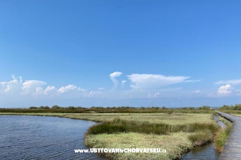 Aenona apartmani – foto 14