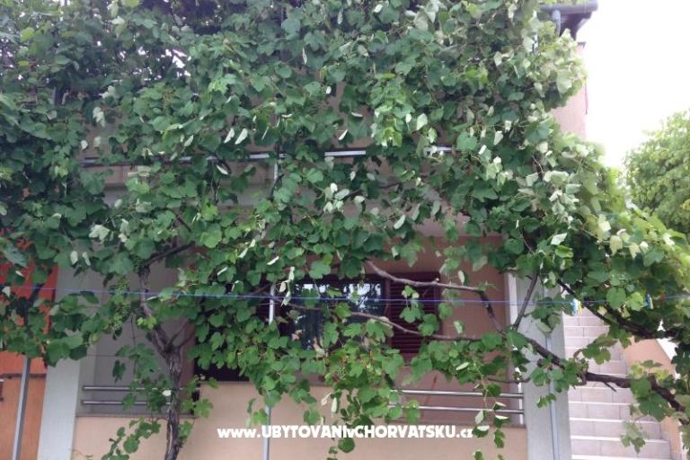 Apartma TiLa – foto 3