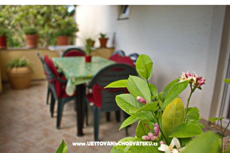 Apartma Lucija – foto 3