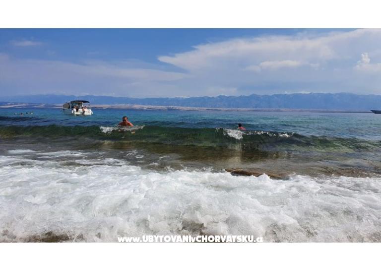 Apartma Zidaric – foto 13