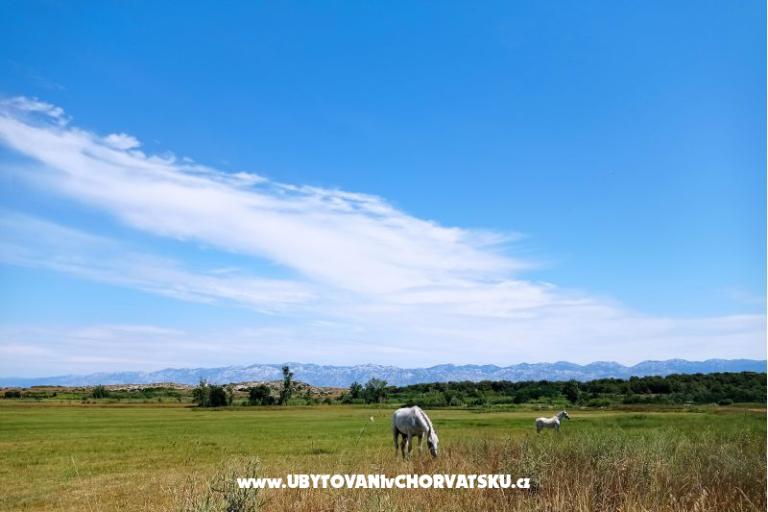 Apartma Zidaric – foto 15