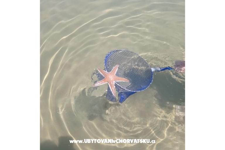 Apartma Zidaric – foto 18