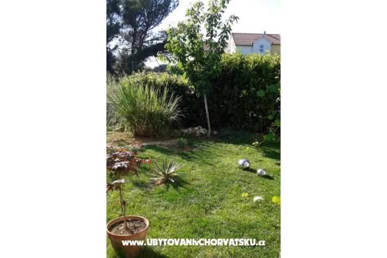 Apartmaji Anita – foto 2