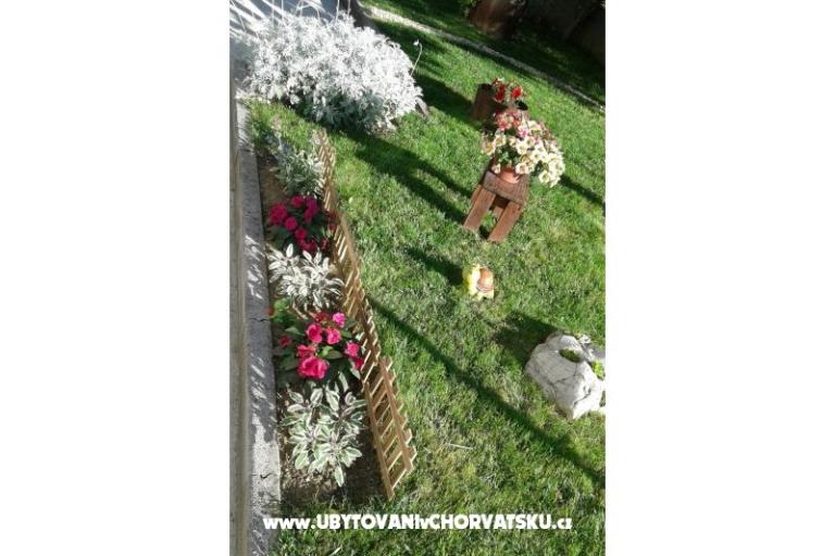 Apartmaji Anita – foto 5