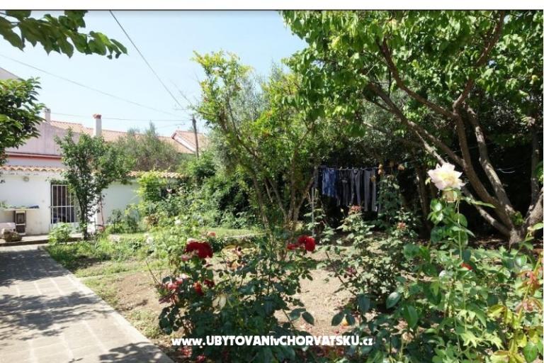 Apartmaji Nin-Island – foto 10