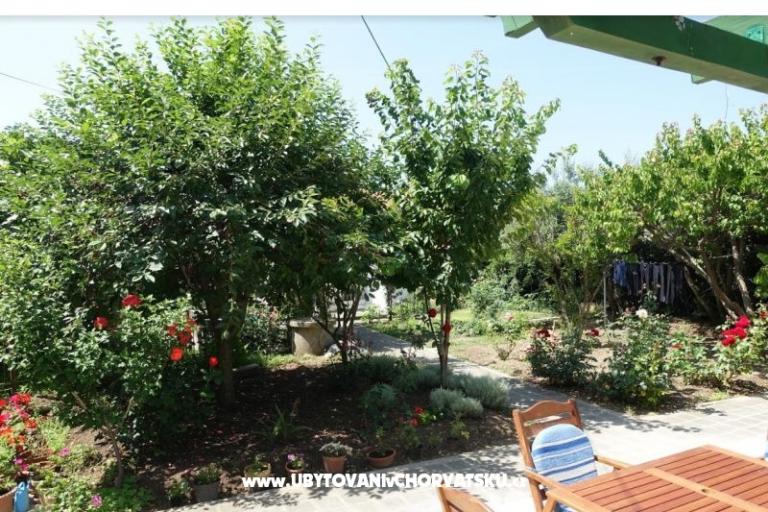 Apartmaji Nin-Island – foto 8
