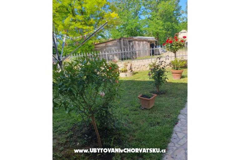 Apartmaji Kajtazović – foto 4