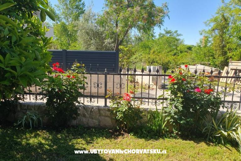 Apartmaji Kajtazović – foto 6