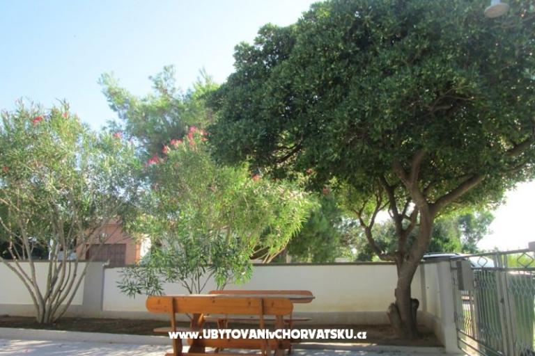 Apartmaji Roza – foto 9