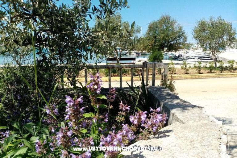 Apartmaji Skoljic – foto 12