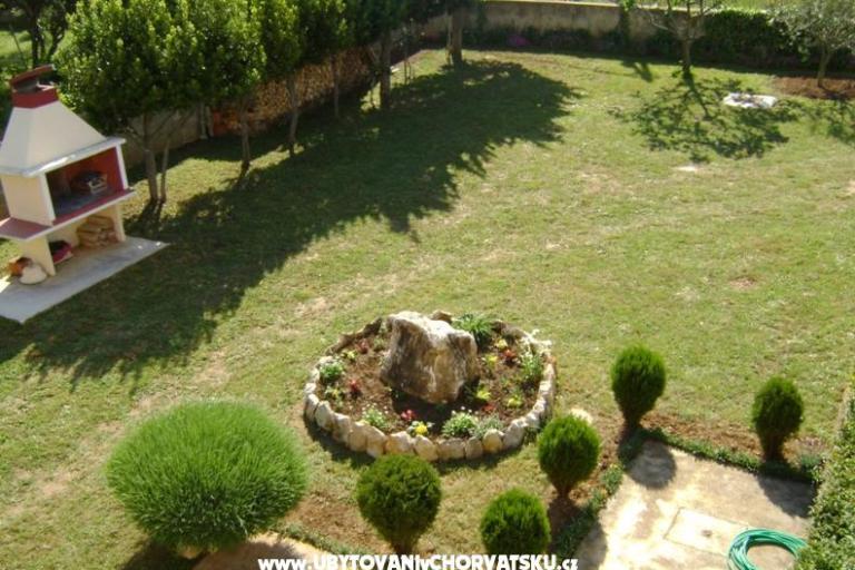 Apartma Dalmacija – foto 10