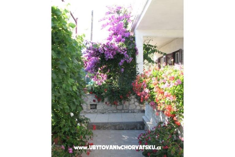 Apartmaji Baras – foto 6