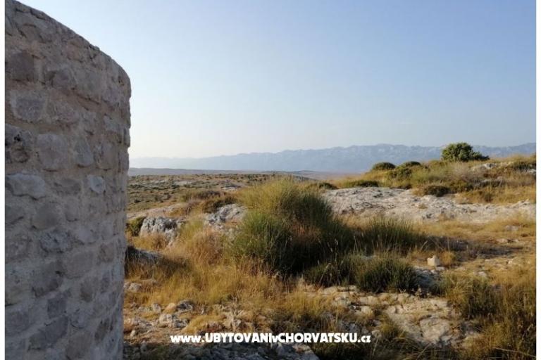 Apartmaji Seaside – foto 16