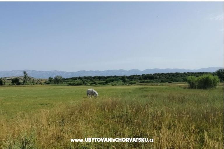 Apartmaji Seaside – foto 17