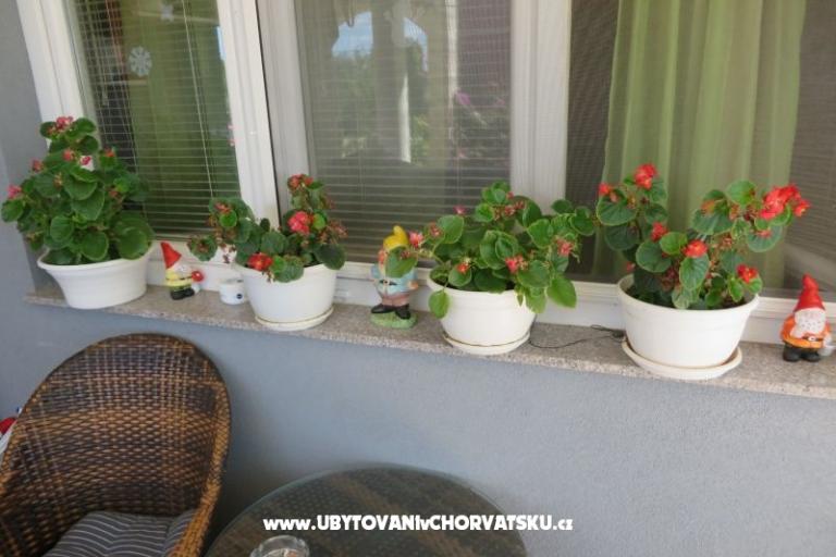 Apartmaji Renata – foto 5