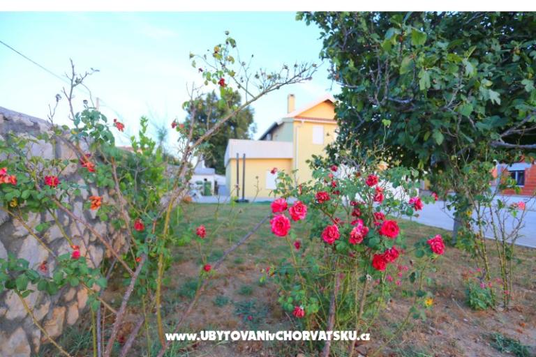 Apartma Novak Rudic – foto 2