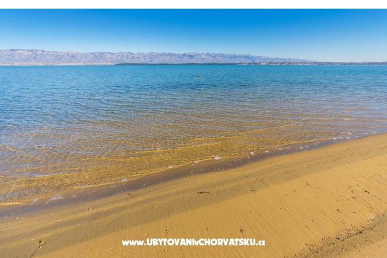 Queen Beach Resort Apartmaji – foto 10