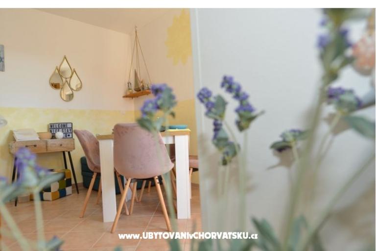 Apartma Bonzo Novalja – foto 12