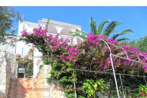 Apartma-hotel MacAdams – foto 3