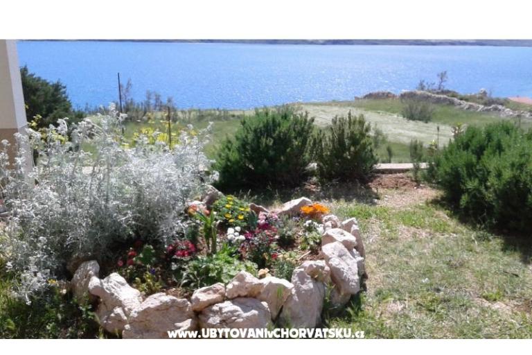 Apartmaji Ante – foto 5
