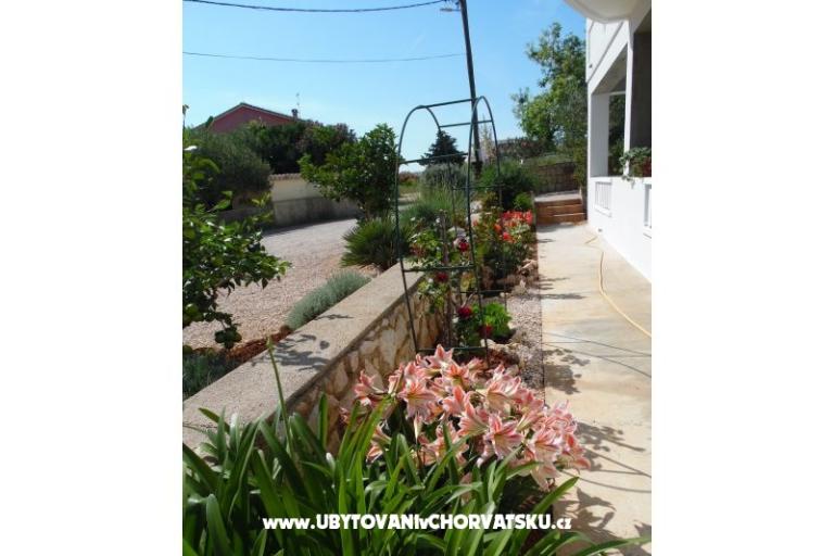 Apartmaji Dabo – foto 11