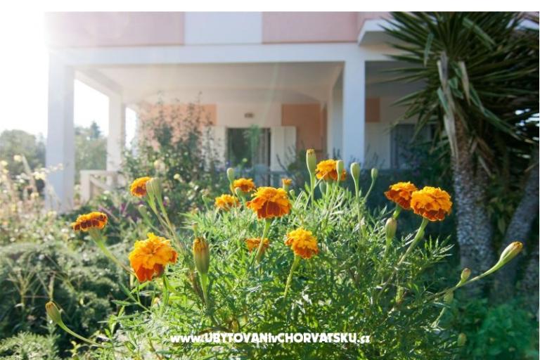 Apartmaji Danijela – foto 17