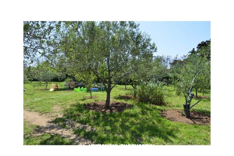 Apartmaji Danijela – foto 6