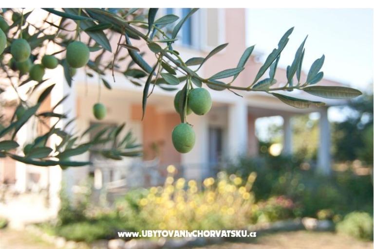 Apartmaji Danijela – foto 7