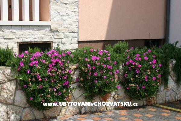 Apartmaji Grga – foto 5