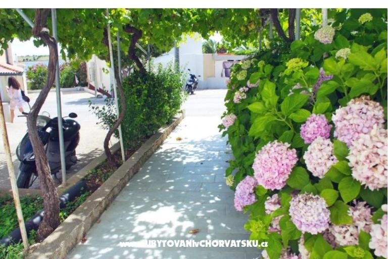 Apartmaji Kaštel – foto 16