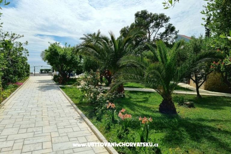 Apartmaji Ostrea – foto 15
