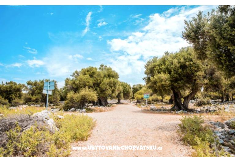 Apartmaji Šegota – foto 2