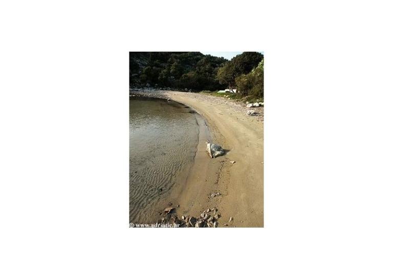 Apartmaji Sisul – foto 18