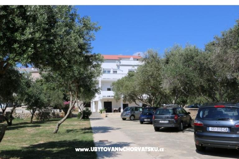 Apartmaji Milka Novalja – foto 13