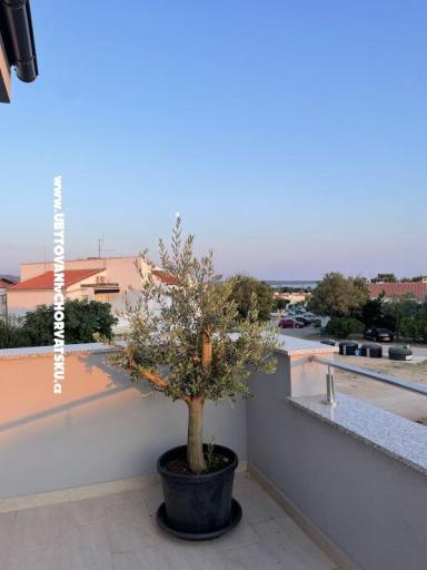 Traumhafte Ferienwohnung in Gajac – foto 17