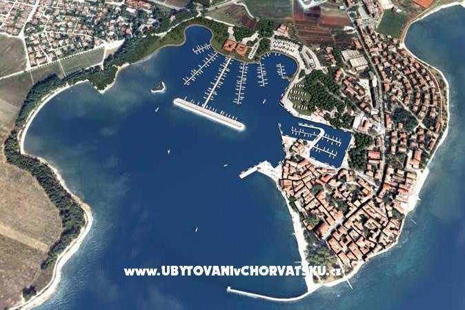 Apartma Ruža – foto 8