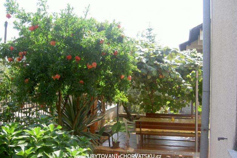 Apartmaji Vošten – foto 5