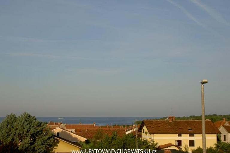 Apartmaji Vošten – foto 6