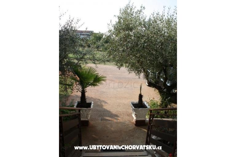 Apartma Adriana Stancijeta – foto 11