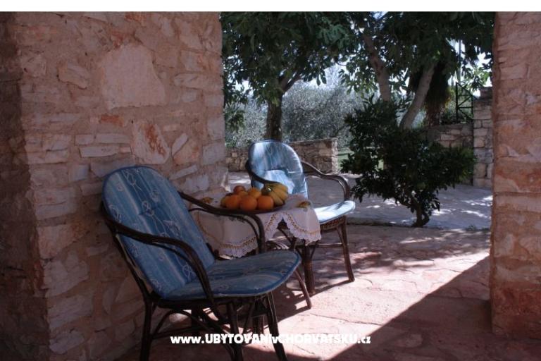 Sanja Apartmaji Novigrad – foto 11