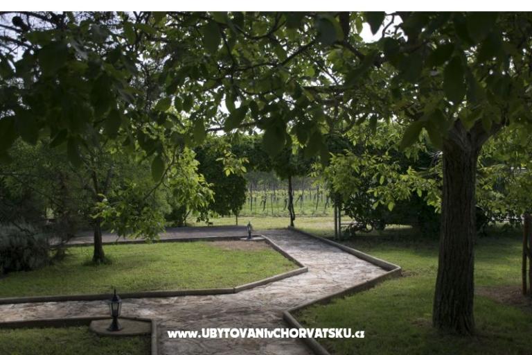 Sanja Apartmaji Novigrad – foto 7