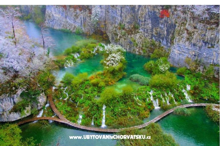 Počitniški dom Sonja – foto 16