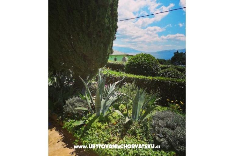Apartmaji BUTKOVIĆ DUBRAVKA – foto 10