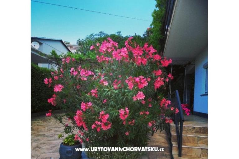Apartmaji BUTKOVIĆ DUBRAVKA – foto 12