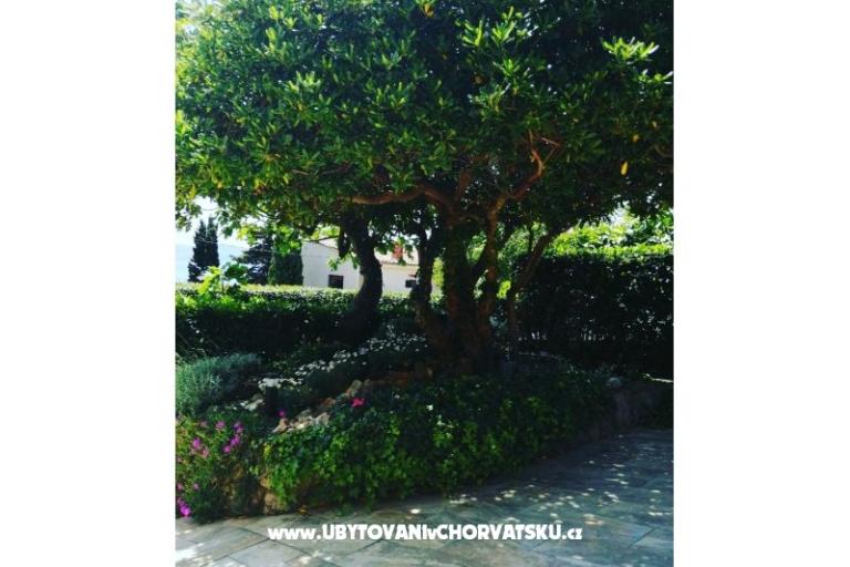Apartmaji BUTKOVIĆ DUBRAVKA – foto 13